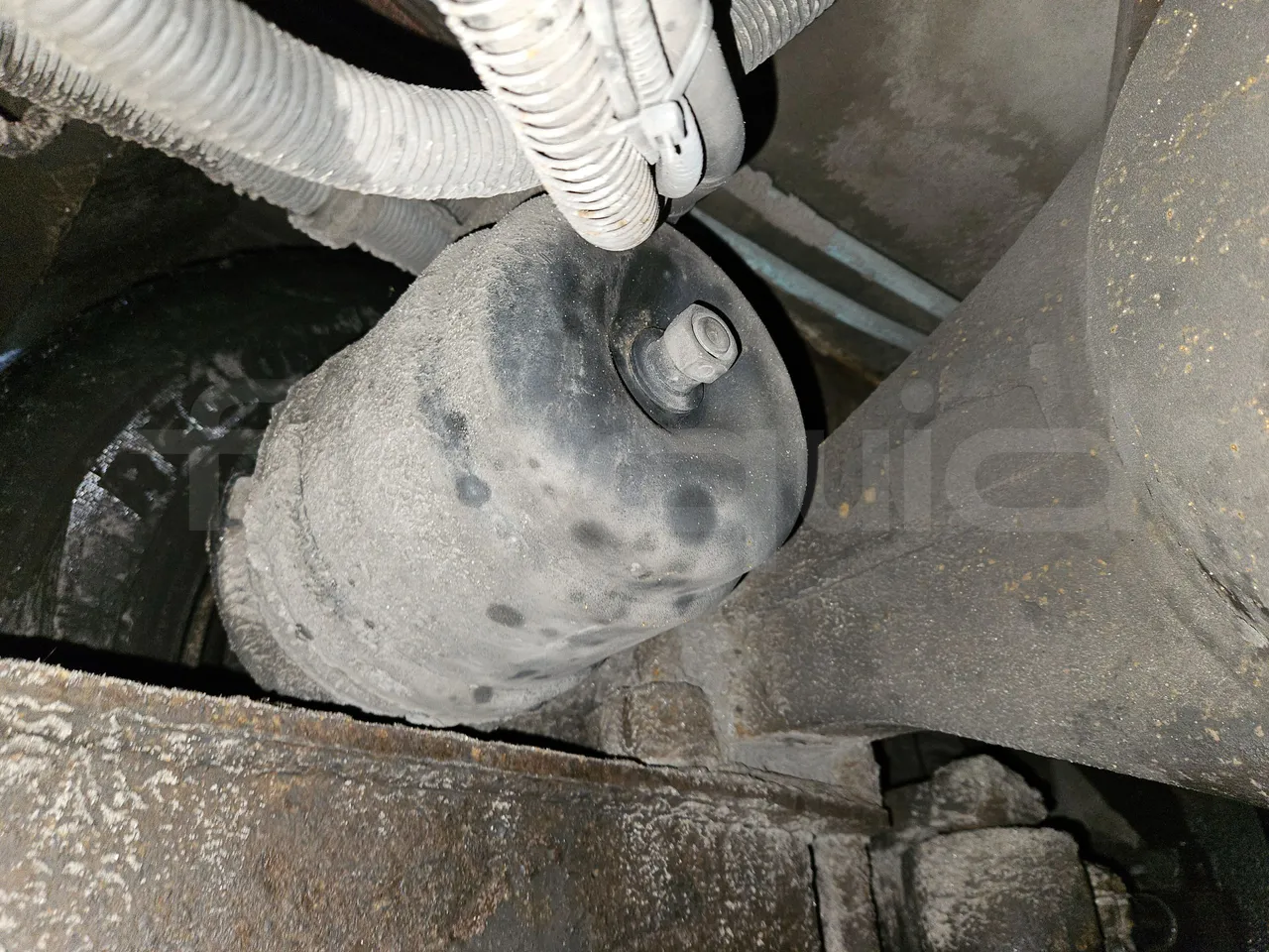 MAZ 206 206 - Euro 5 - 130 kW - 8.65 mt - axle 2 caliper brakes right