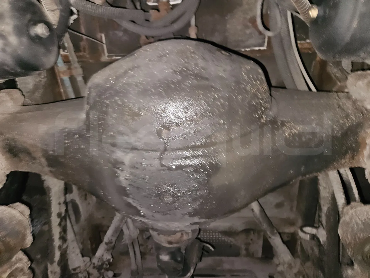 MAZ 206 206 - Euro 5 - 130 kW - 8.65 mt - differential photo