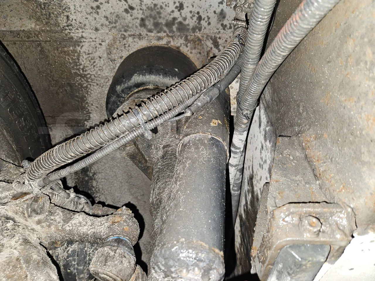 MAZ 206 206 - Euro 5 - 130 kW - 8.65 mt - front shock absorbers left