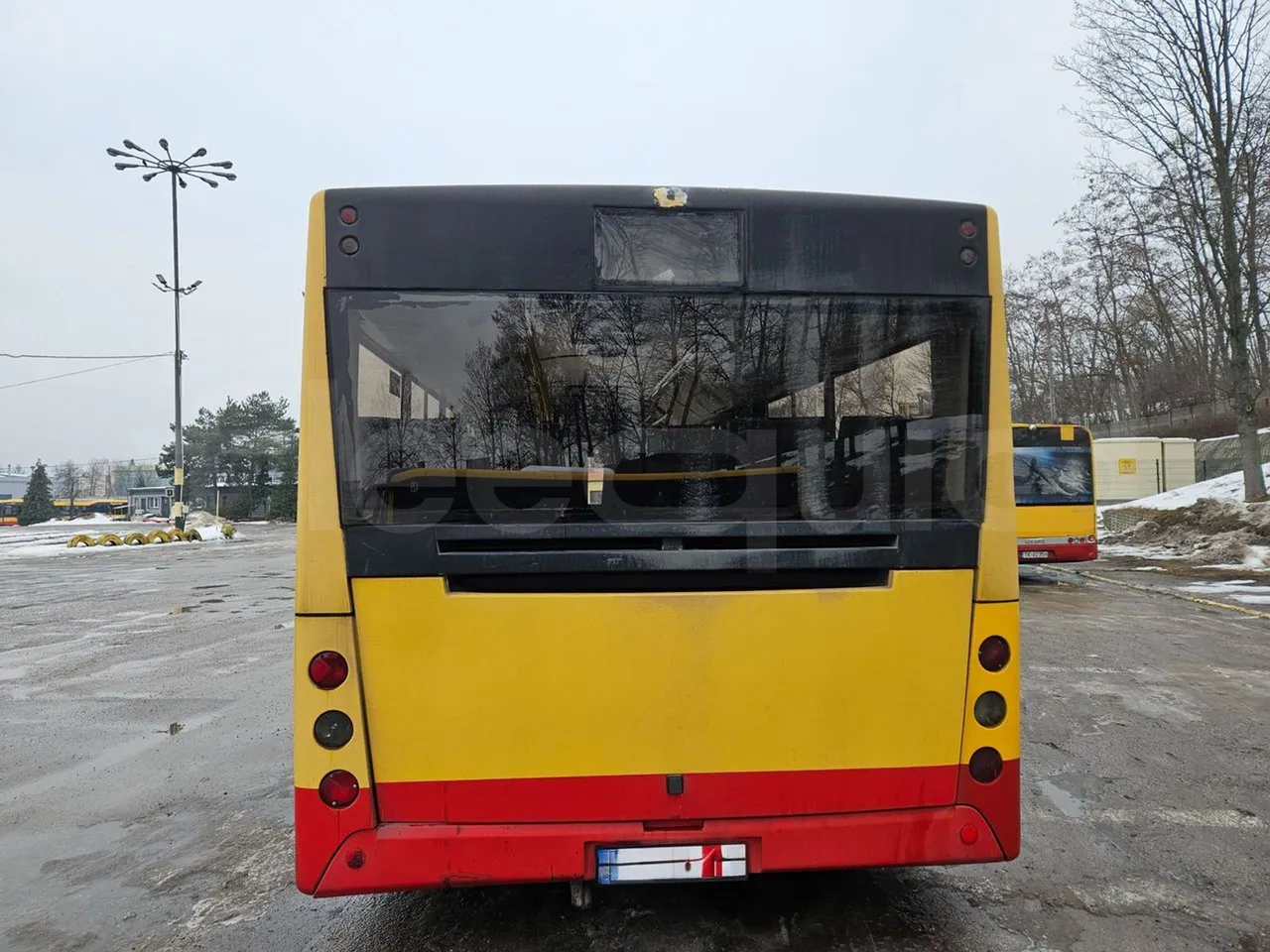 MAZ 206 206 - Euro 5 - 130 kW - 8.65 mt - rear hatch closed