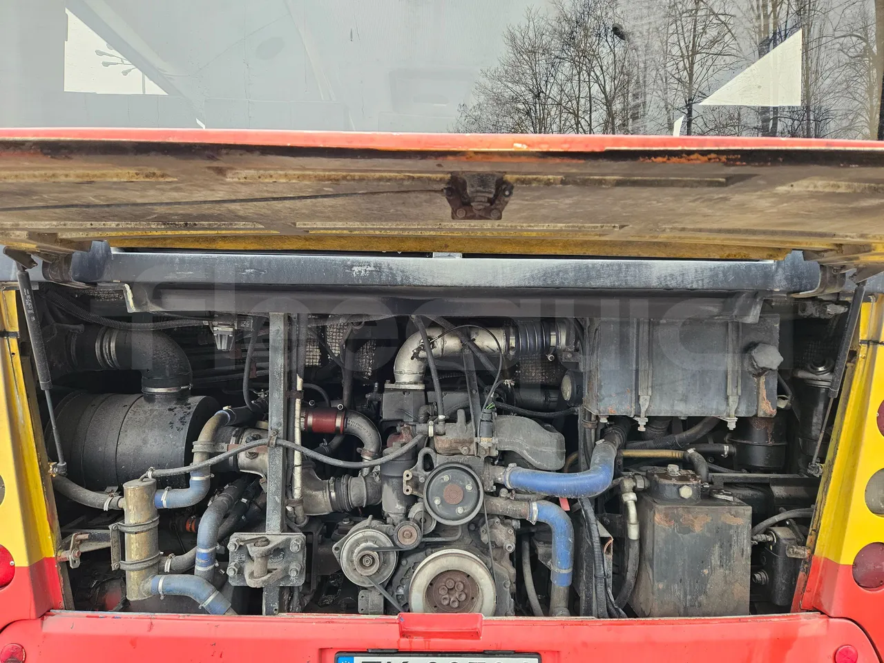 MAZ 206 206 - Euro 5 - 130 kW - 8.65 mt - rear hatch open