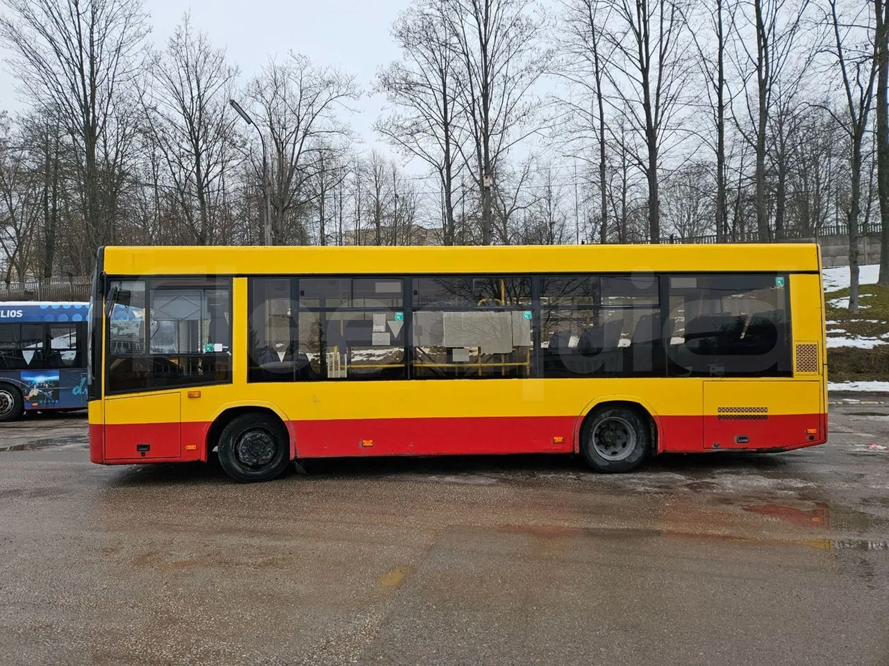 MAZ 206 206 - Euro 5 - 130 kW - 8.65 mt - left side photo