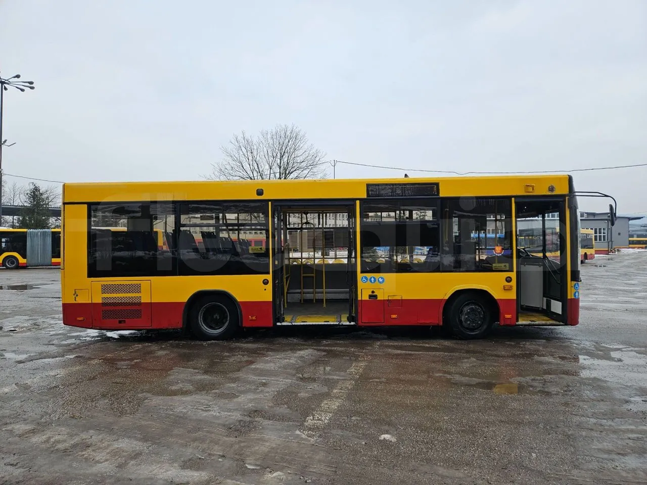 MAZ 206 206 - Euro 5 - 130 kW - 8.65 mt - right side doors open