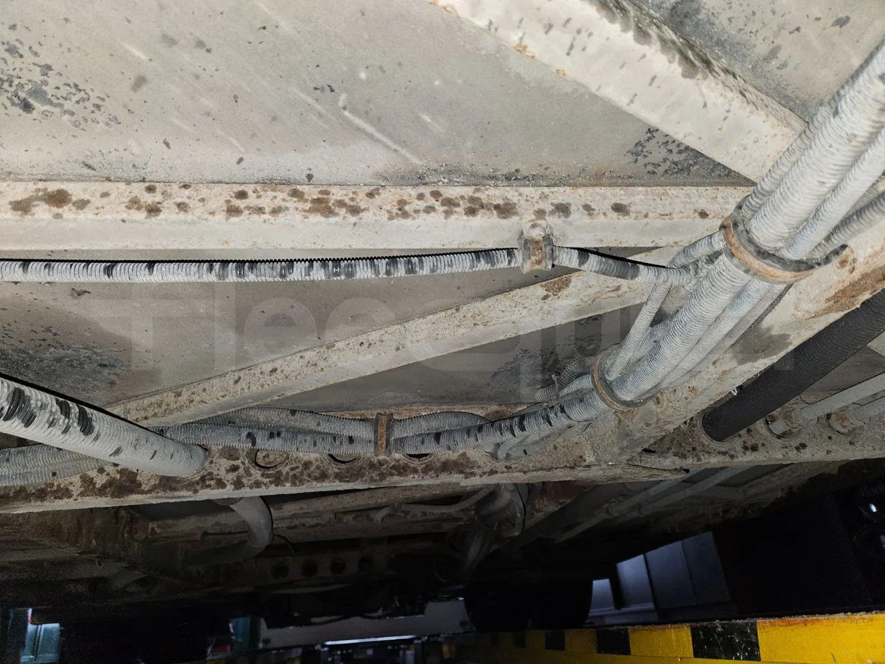 MAZ 206 206 - Euro 5 - 130 kW - 8.65 mt - central undercarriage photo