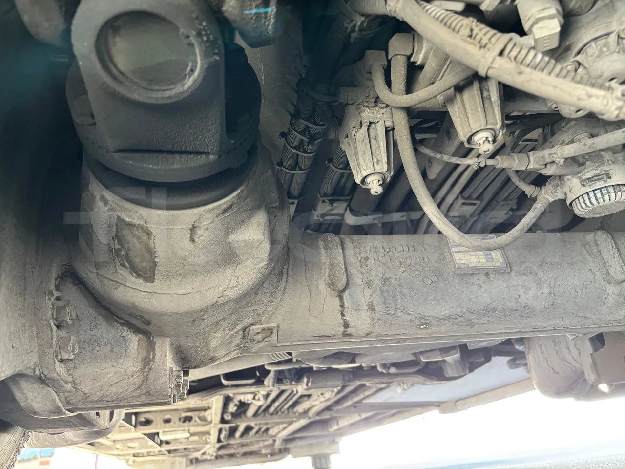Man Castrosua - Differential