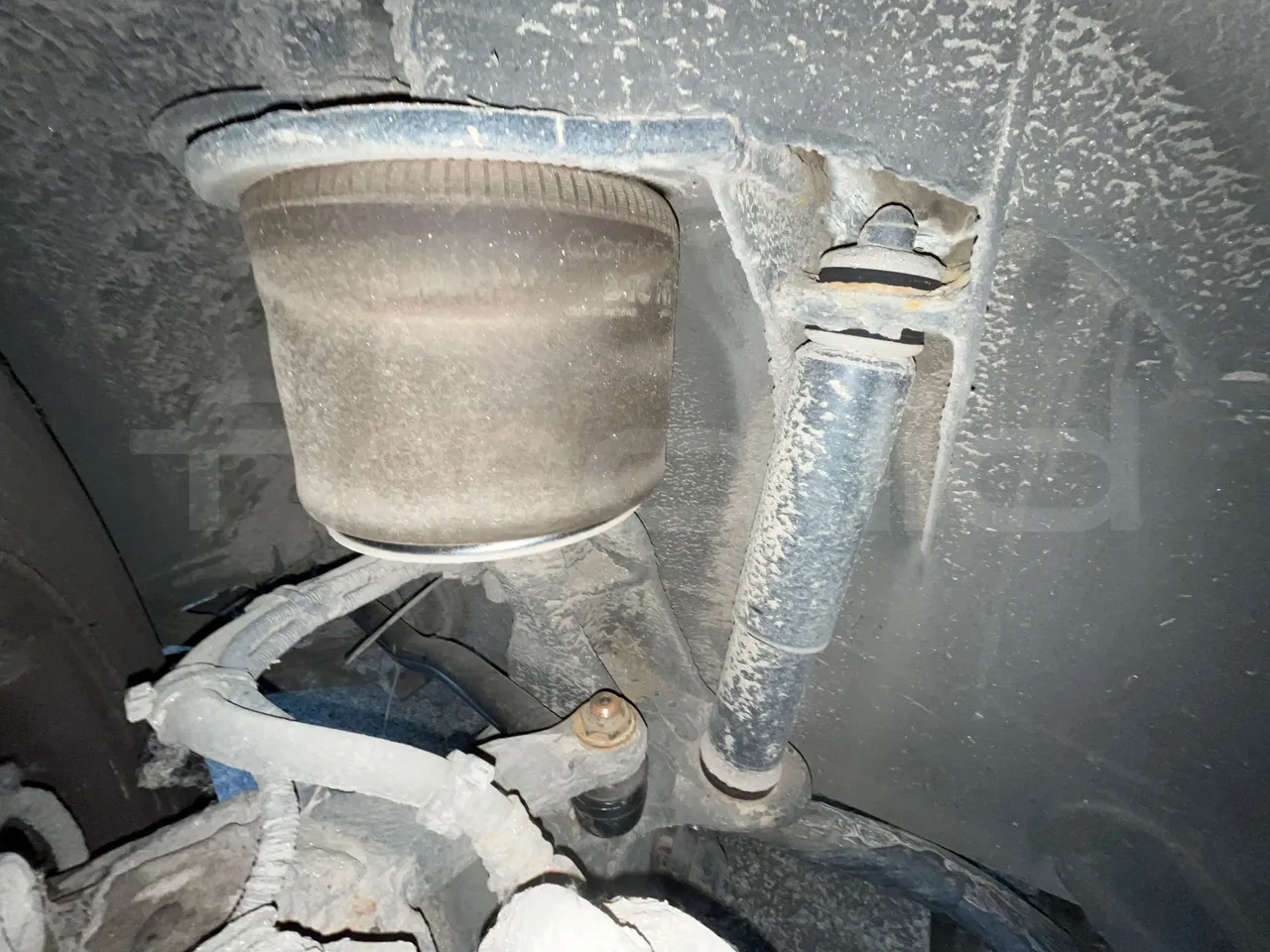 Man Lion's City A21 - EUR5 - 206kW - 11.980m - front shock absorbers left