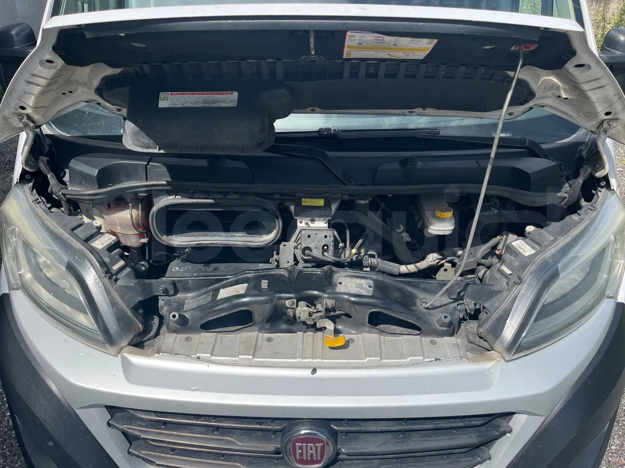 Fiat Ducato 250 - EUR6 - 110kW - 4.963m - rear hatch open