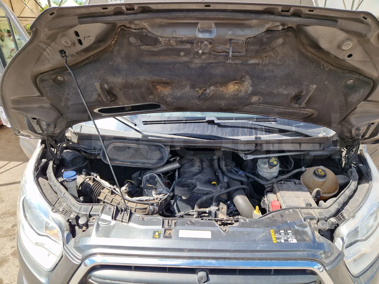 Ford Transit FBD - rear hatch open