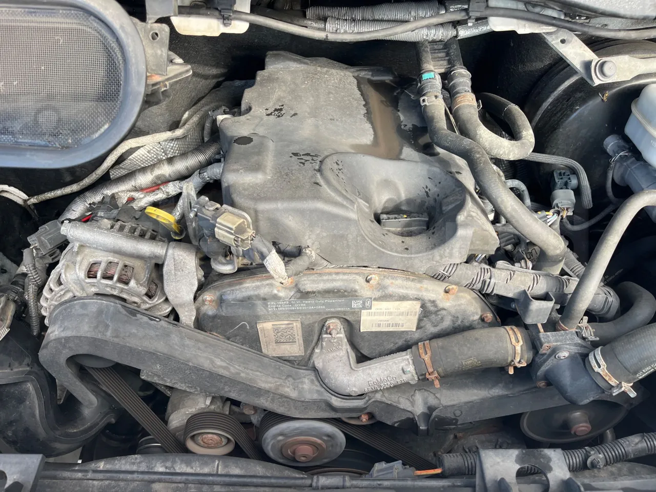 Ford Transit FBD -  Euro6 - 114kW - 6.704mt - engine plate photo