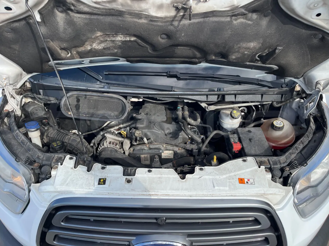 Ford Transit FBD -  Euro6 - 114kW - 6.704mt - rear hatch open