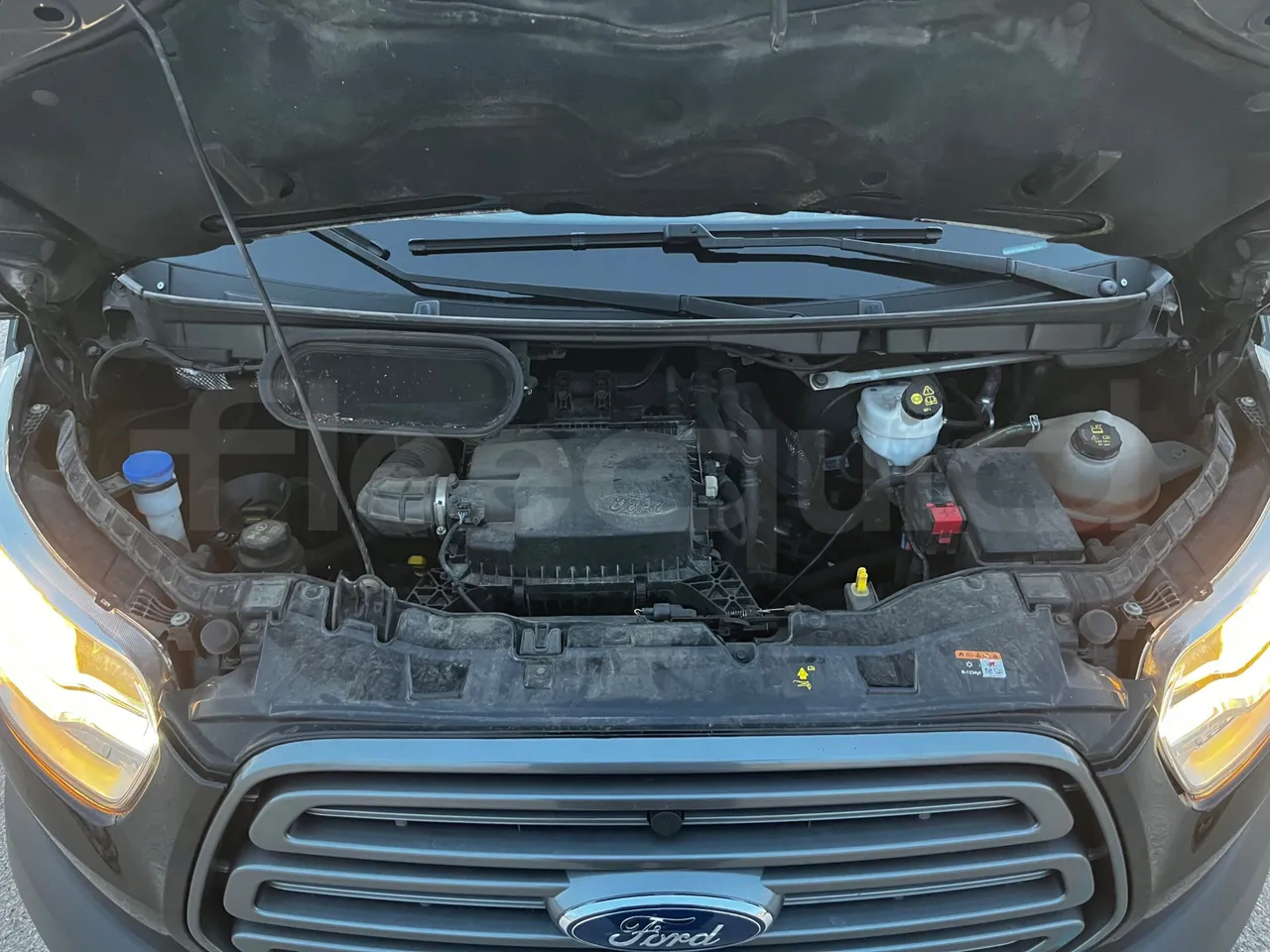 Ford Transit FAD - Euro6B - 125kW - 5.981mt - rear hatch open