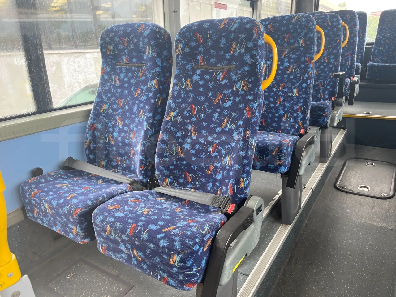 Temsa Tourmalin - central seat safety belt