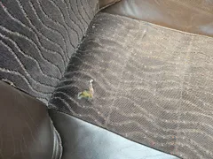 Irizar i6 12.37 - EUR6 - 320kW - 12.200m - Image