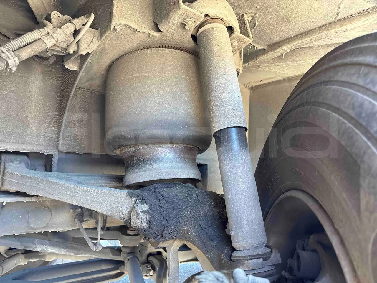 Setra S515 - front shock absorbers left