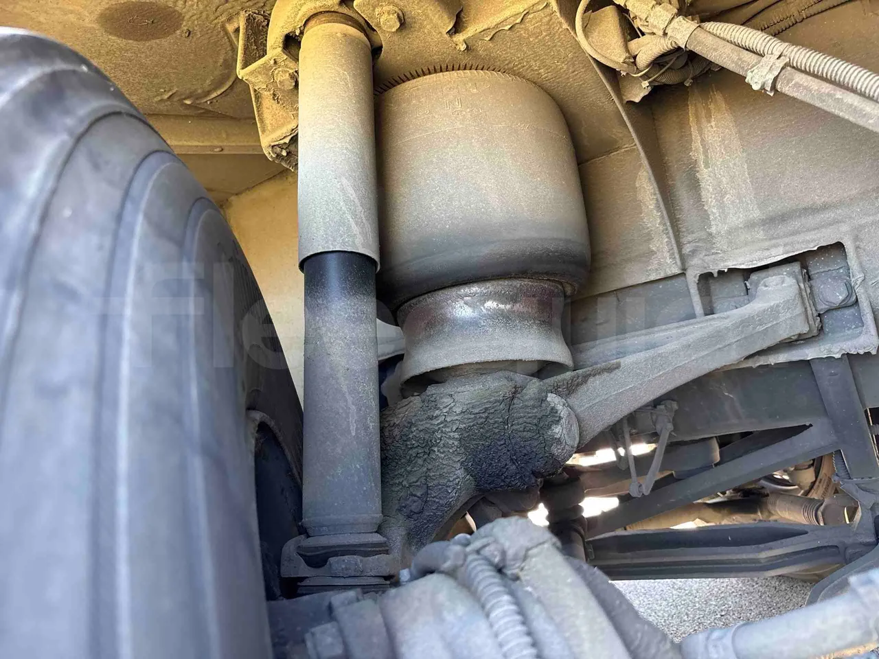 Setra S515 - front shock absorbers right
