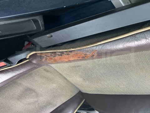 Neoplan Cityliner P14 - Euro6 - 324kW - 12.240mt - Image