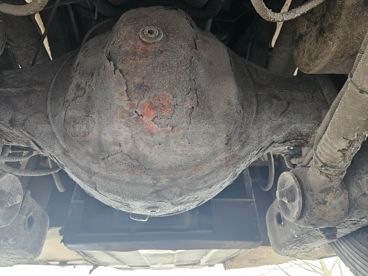 Man RH 483 RH 483 - EUR3-294kW - 12m - differential photo