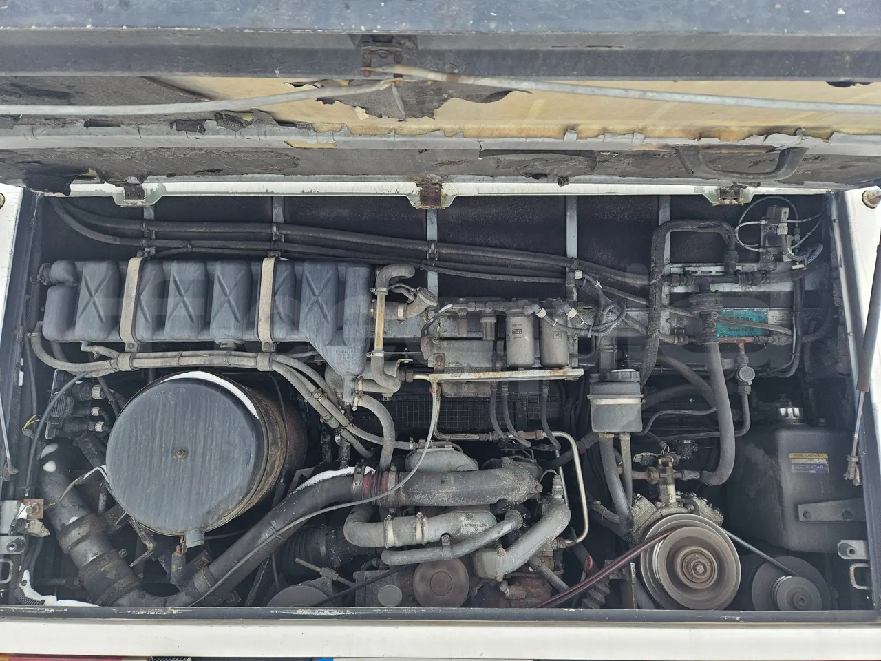 Man RH 483 RH 483 - EUR3-294kW - 12m - rear hatch open