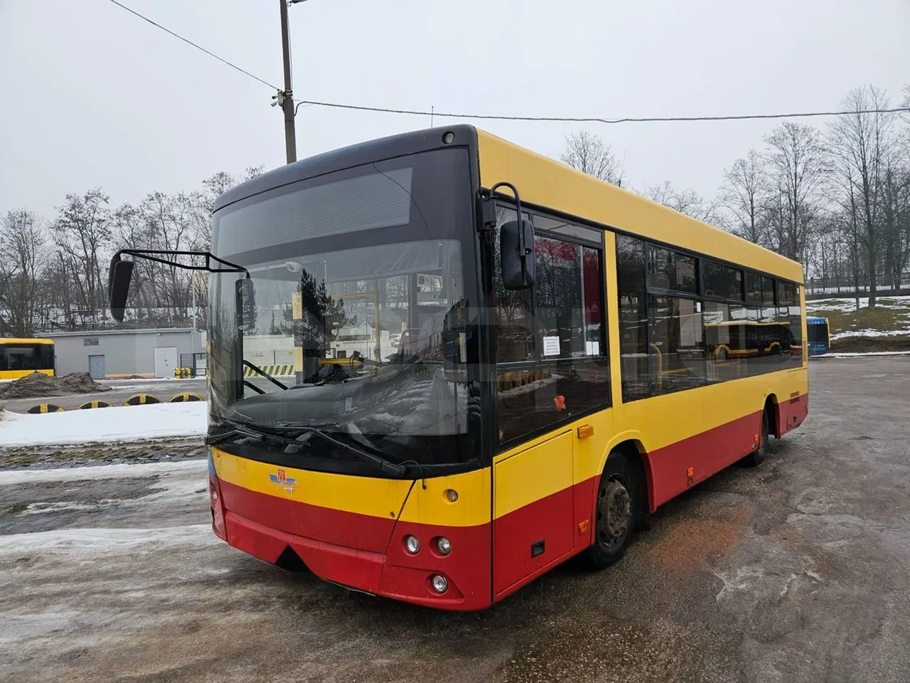 MAZ 206 206 - Euro 5 - 130 kW - 8.65 mt - 3/4 front left