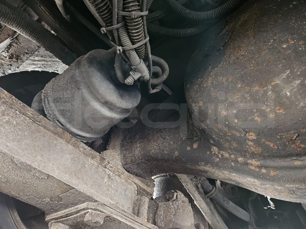 MAZ 206 206 - Euro 5 - 130 kW - 8.65 mt - axle 2 caliper brakes right