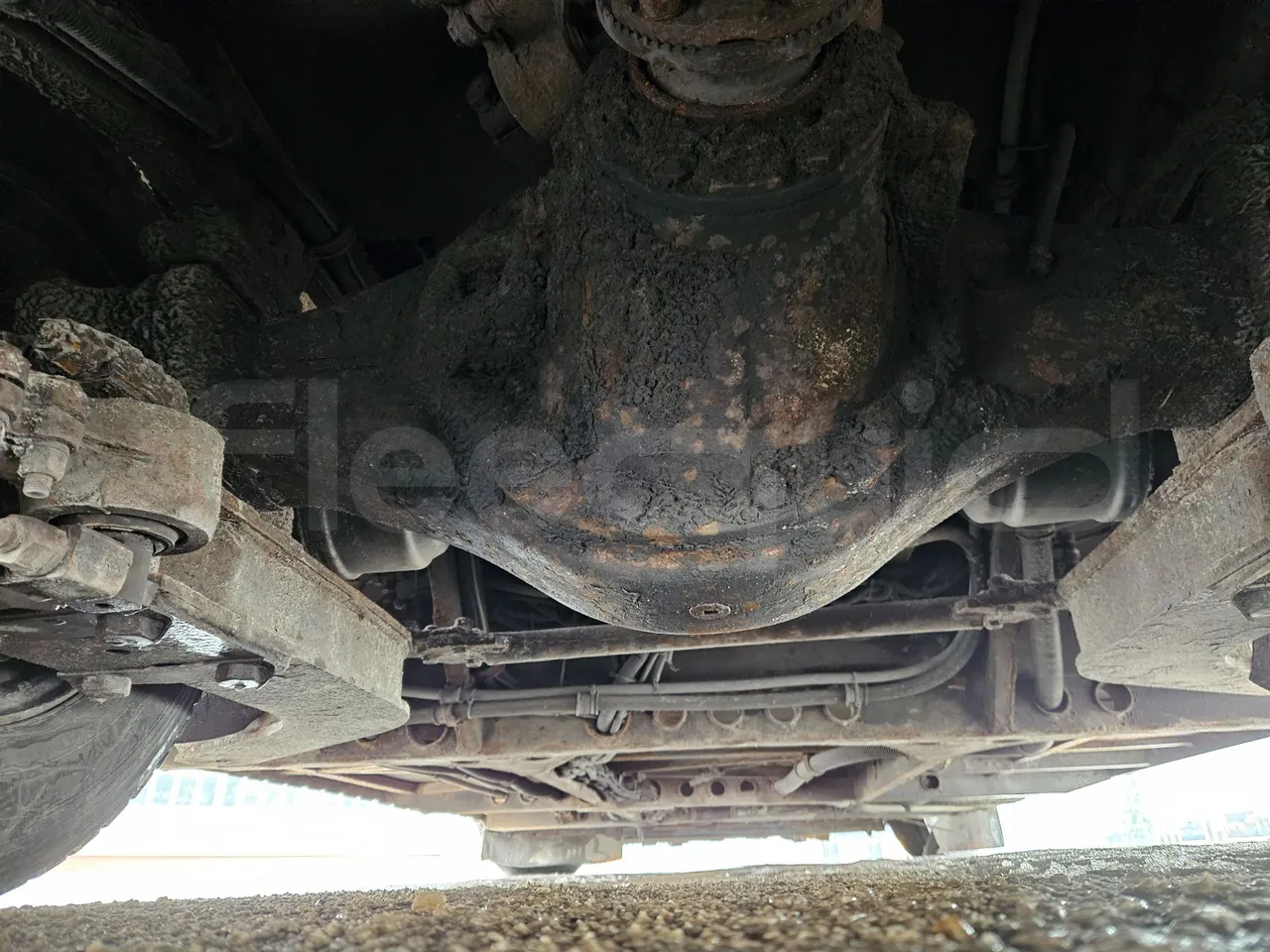 MAZ 206 206 - Euro 5 - 130 kW - 8.65 mt - differential photo