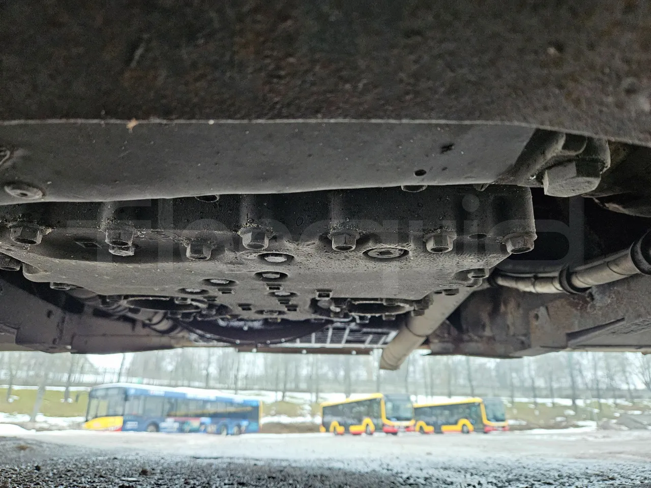 MAZ 206 206 - Euro 5 - 130 kW - 8.65 mt - gearbox photo