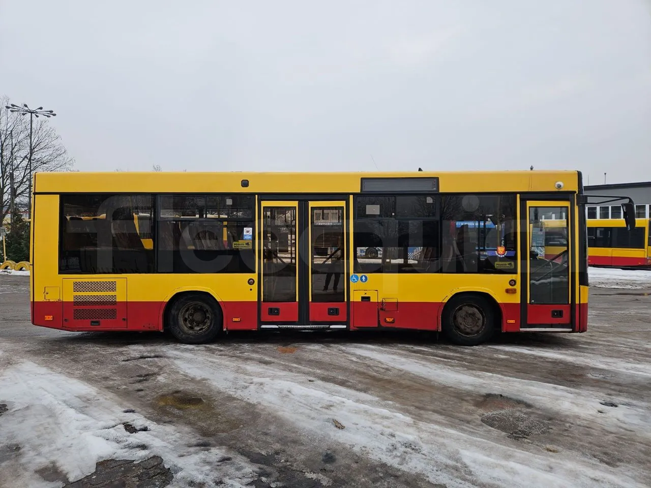 MAZ 206 206 - Euro 5 - 130 kW - 8.65 mt - right side doors closed