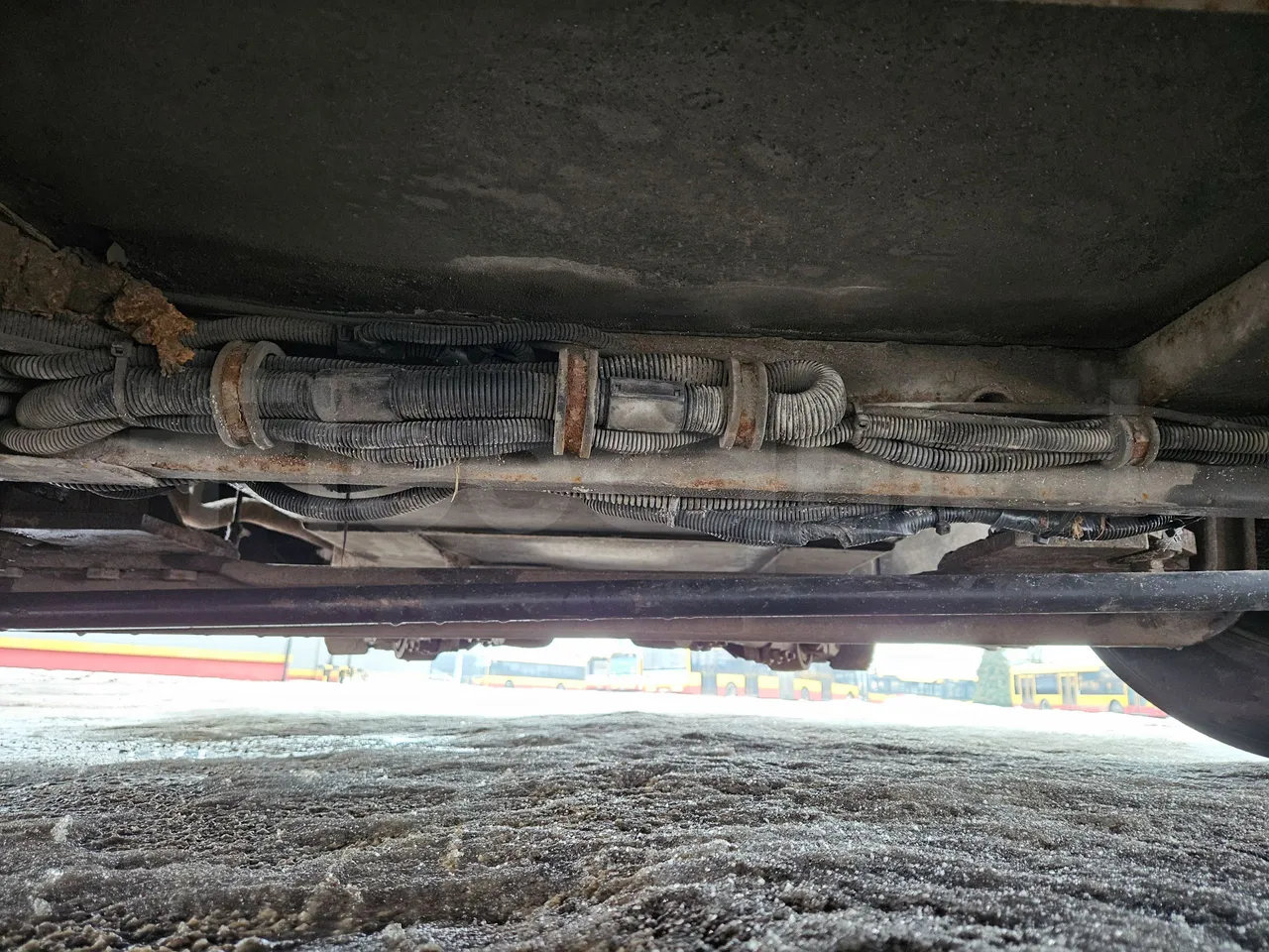 MAZ 206 206 - Euro 5 - 130 kW - 8.65 mt - front axle central