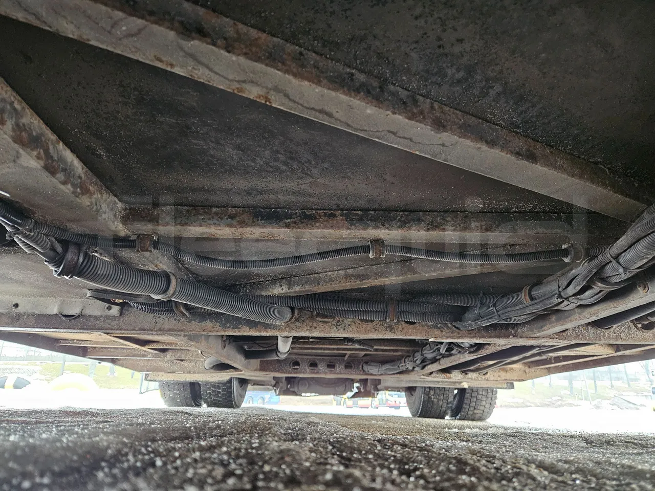 MAZ 206 206 - Euro 5 - 130 kW - 8.65 mt - central undercarriage photo