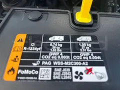 Ford Tourneo Custom BLFA1DBX -EUR6 -125kW -4.972m - Image