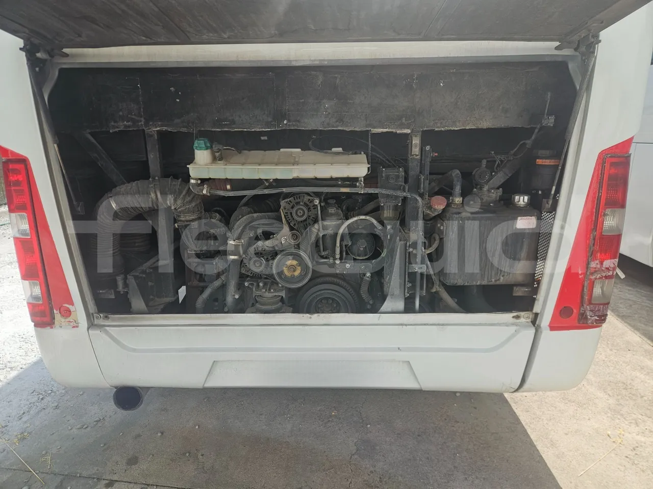 Man Celeris 18.314 HOCL-NL/ Euro 5 - 257 Kw - 12,250 Mt - rear hatch open (mandatory  for bus to scrap)