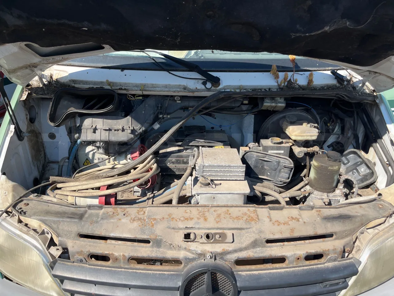 Mercedes-Benz Sprinter - rear hatch open