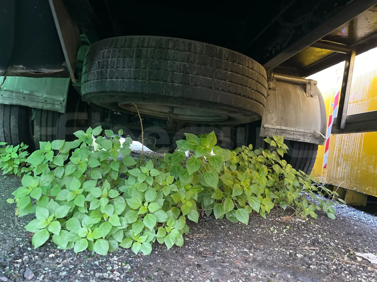 MITSUBISHI FUSO - central axle (18m)