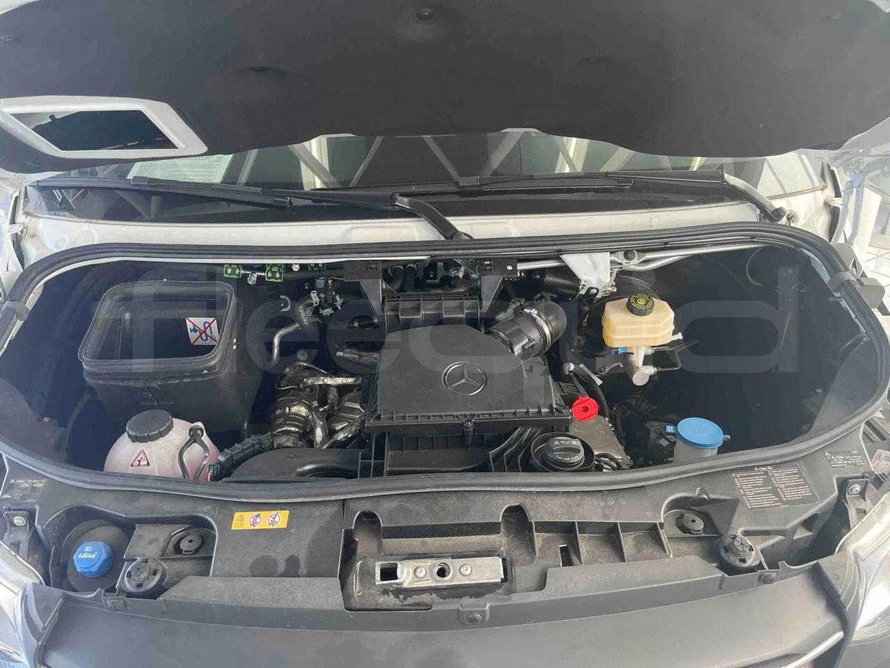 Mercedes-Benz Sprinter - rear hatch open