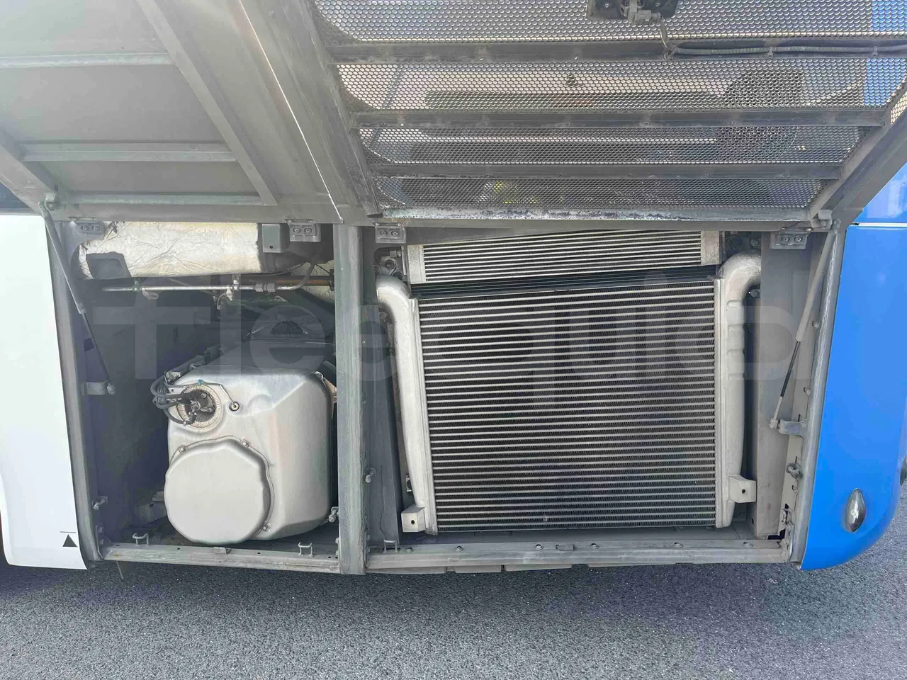 Man Lion's Intercity - engine plate photo