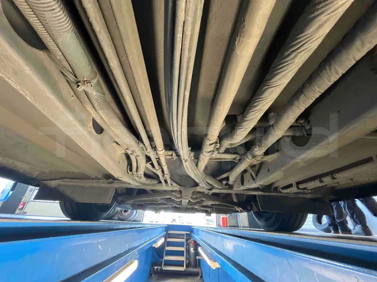 Man Lion's Intercity - front shock absorbers right