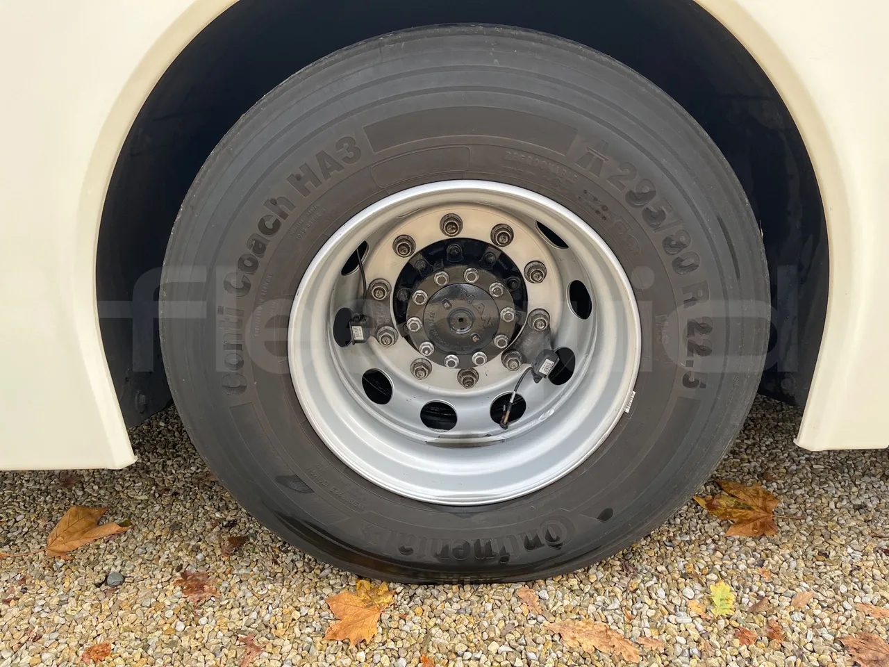Neoplan Tourliner L  L -  Euro6 - 338 Kw - 13.913 - rear left tire photo