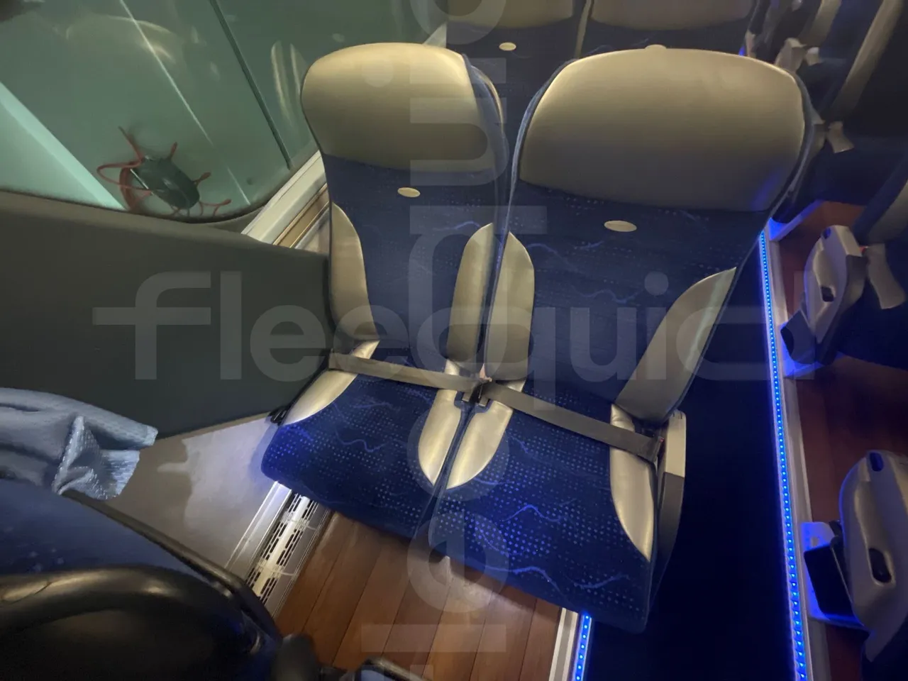 Neoplan Starliner L - EUR5 - 371kW - 13.99m - central seat safety belt