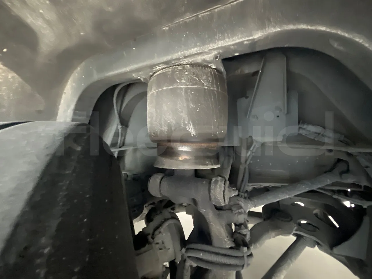 Neoplan Starliner L - EUR5 - 371kW - 13.99m - front air springs right