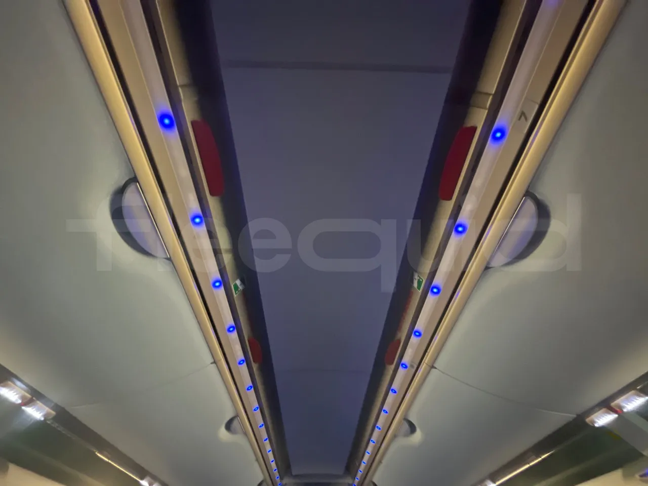 Neoplan Starliner L - EUR5 - 371kW - 13.99m - roof hatch 3