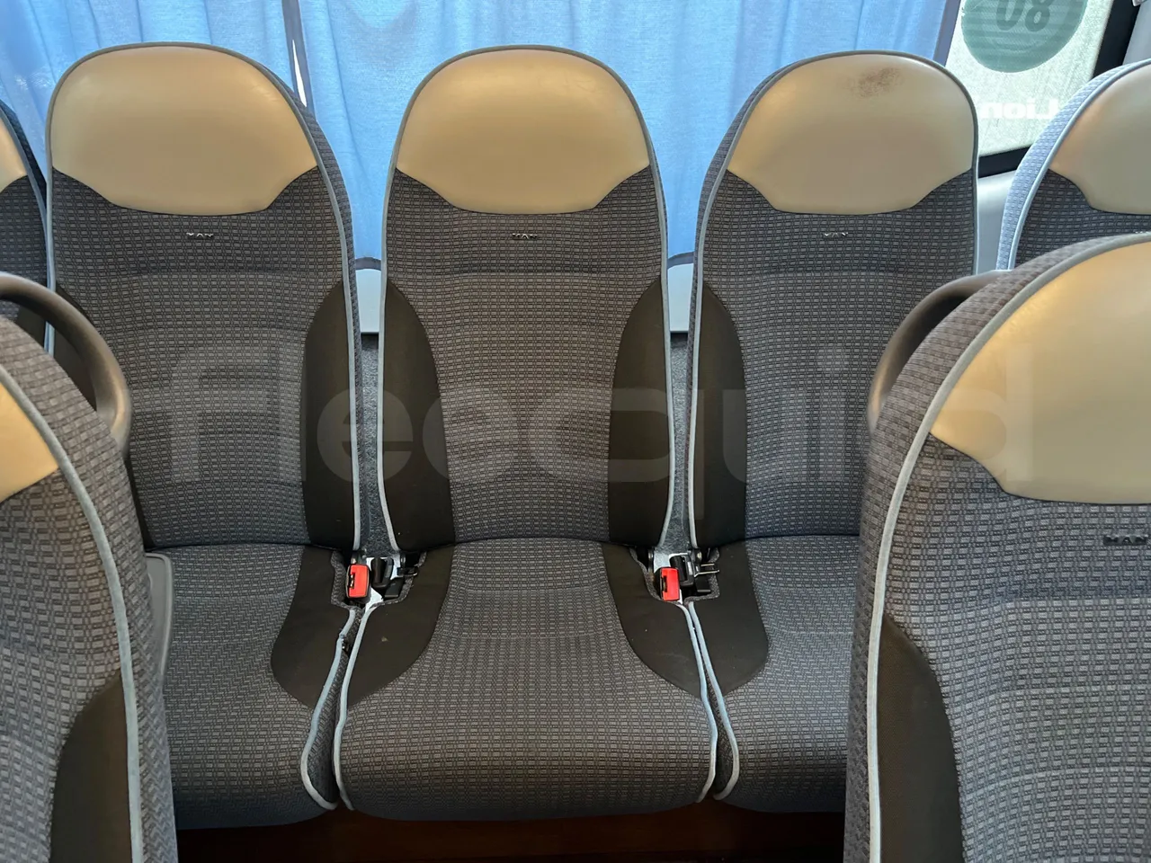 Man Lion's Coach B200746006 - Euro6 - 338kW - 12mt - single seat detail