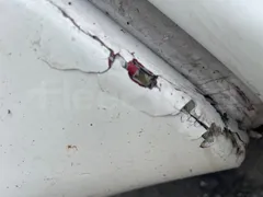 Iveco Magelys 5FR210 - Euro5 - 331kW - 12.800mt - Image