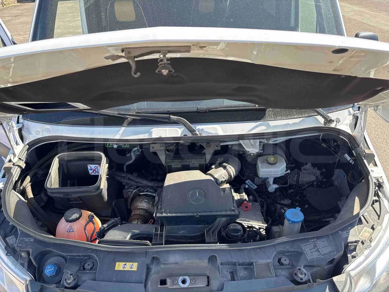 Mercedes-Benz Sprinter - rear hatch open
