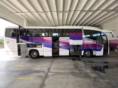 Irizar Daf - Image