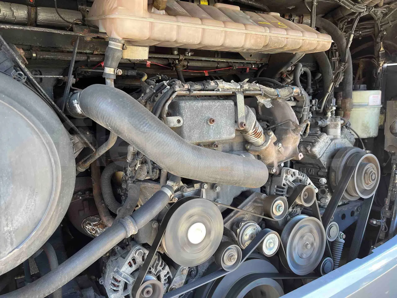 Neoplan Starliner N5217 - EUR5 - 371kW - 14m - engine plate photo