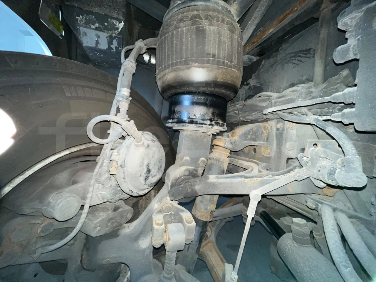 Scania Touring HD - front shock absorbers right