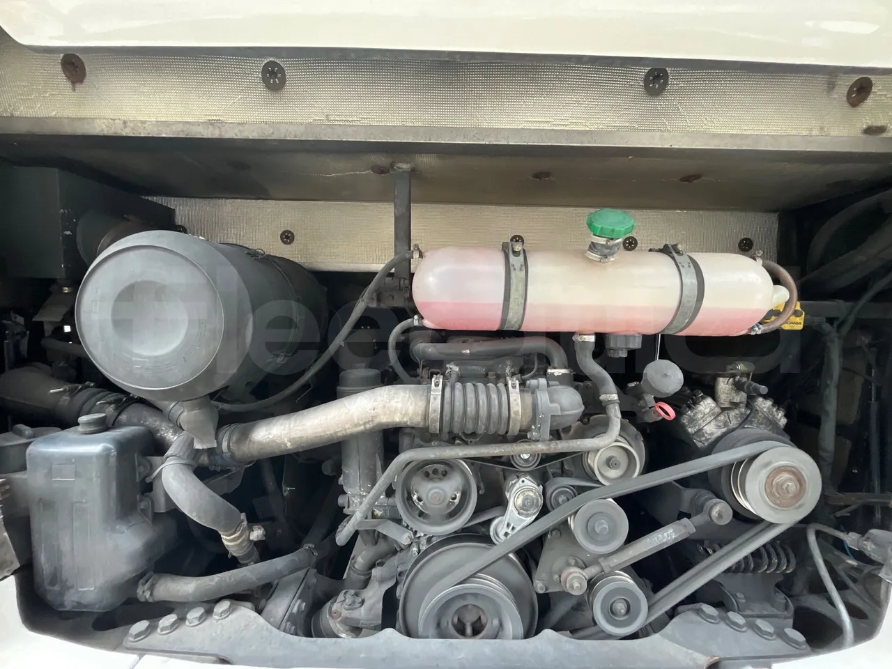 Scania Touring HD - rear hatch open