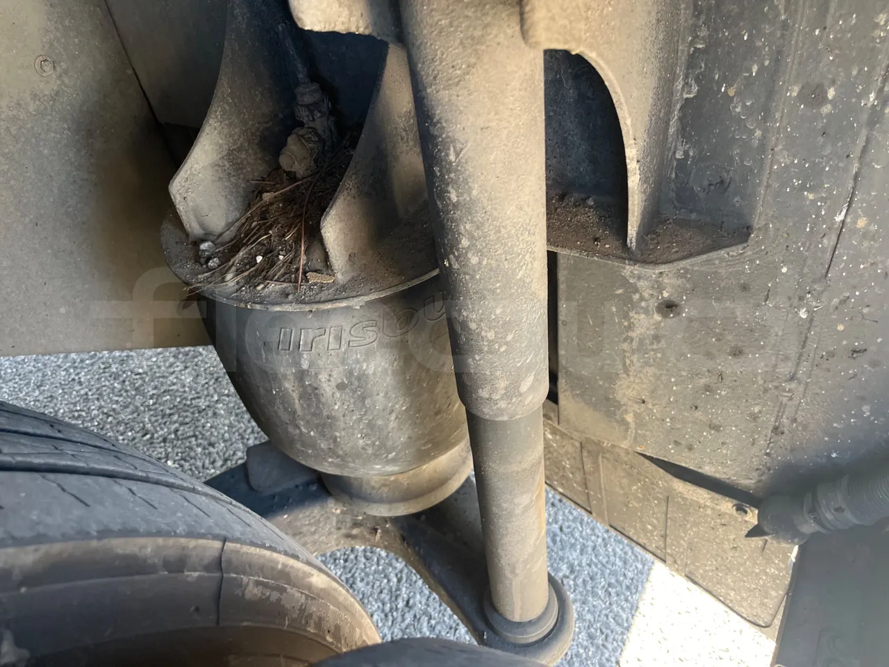 Iveco Magelys SFR2XX QC E2CN/ Euro6 - 294 Kw - 12,265 Mt - axle 2 shock absorbers 1 left