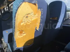 Setra S313 UL/ Euro 3 - 260 Kw - 11.320 Mt - Image