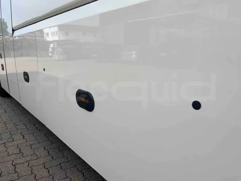 Man Lion's Coach - Image